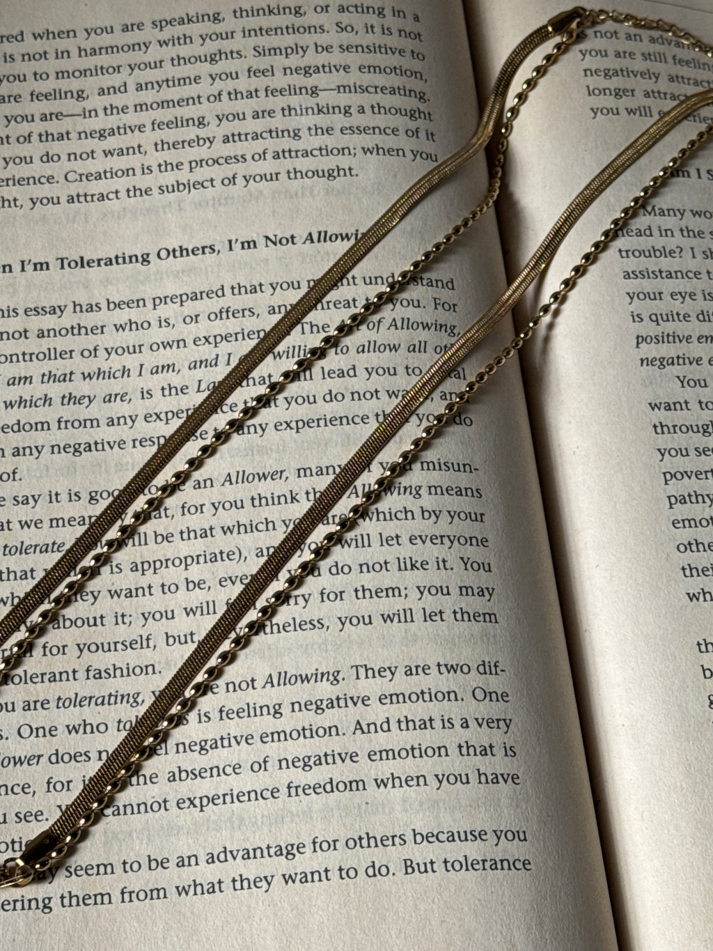 Double layer snake anklet